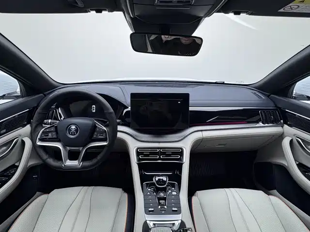 BYD Song PLUS PHEV 2021 DM-i 51KM Honor фото 5
