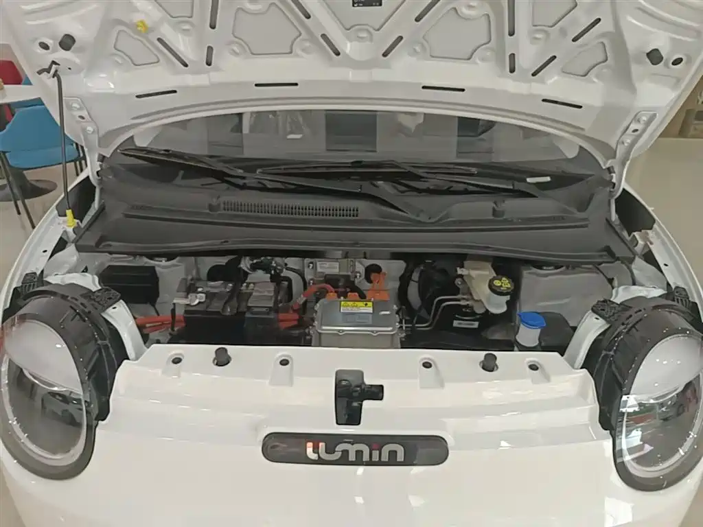Changan Qiyuan Changan Lumin 2026 2026 Model Treasure Edition 205km Sweet Rice Guoxuan