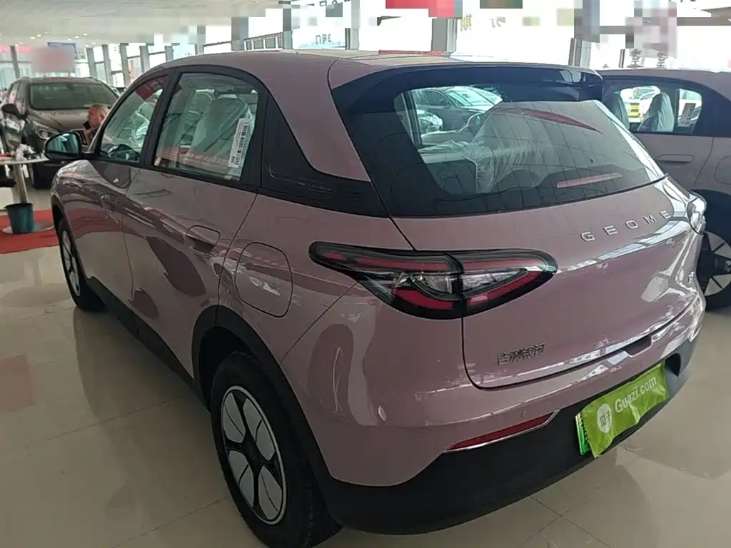 Geely Galaxy Starry Wish 2026 Edition 310km Youth Version фото 5
