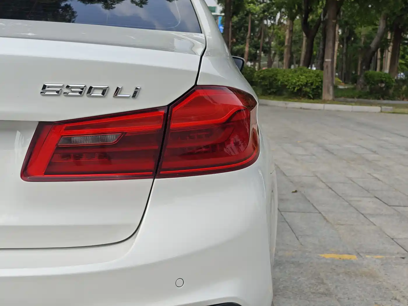 BMW 5 Series 2019 530Li Leading M Sport Package фото 9