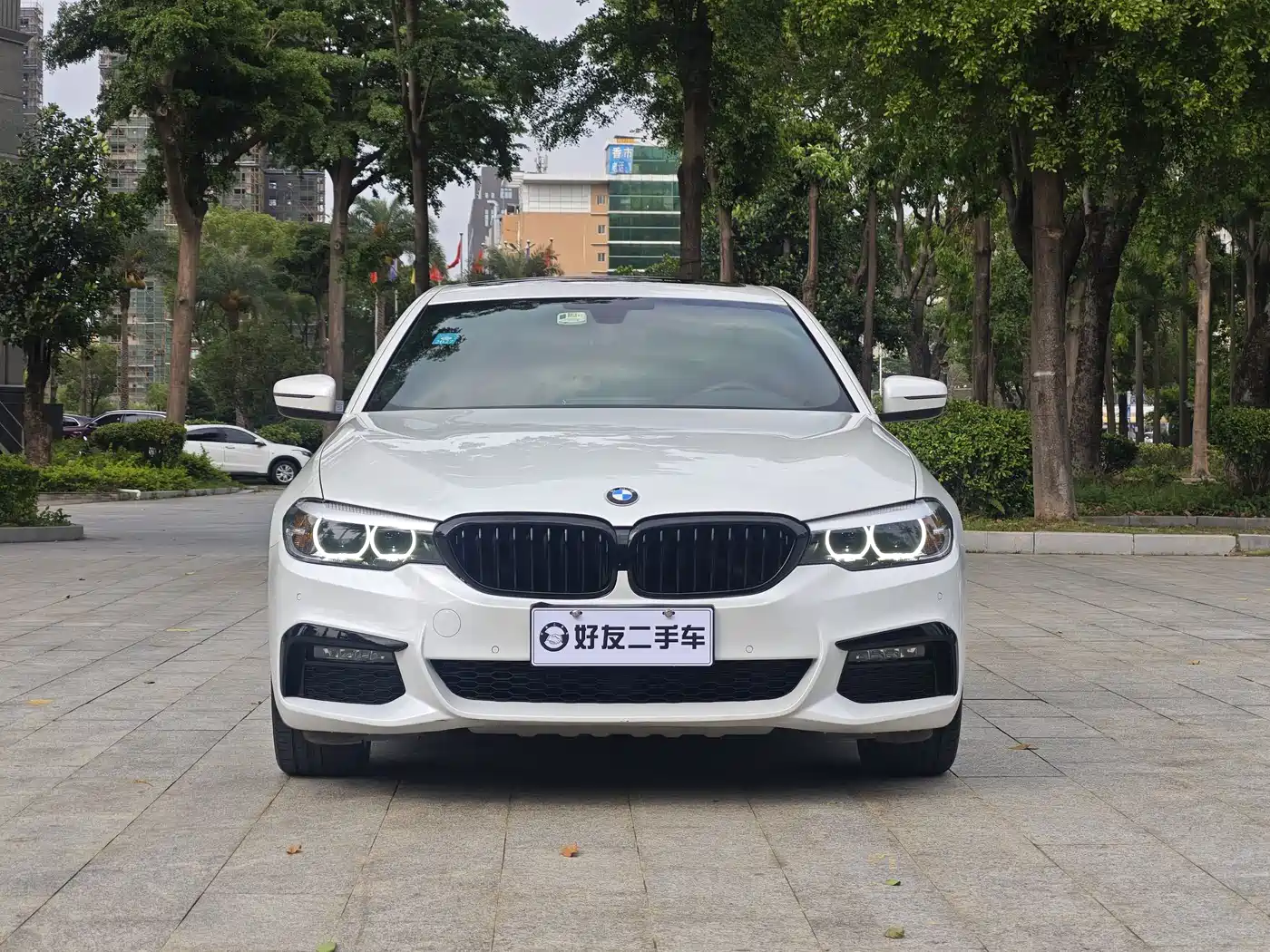 BMW 5 Series 2019 530Li Leading M Sport Package фото 2