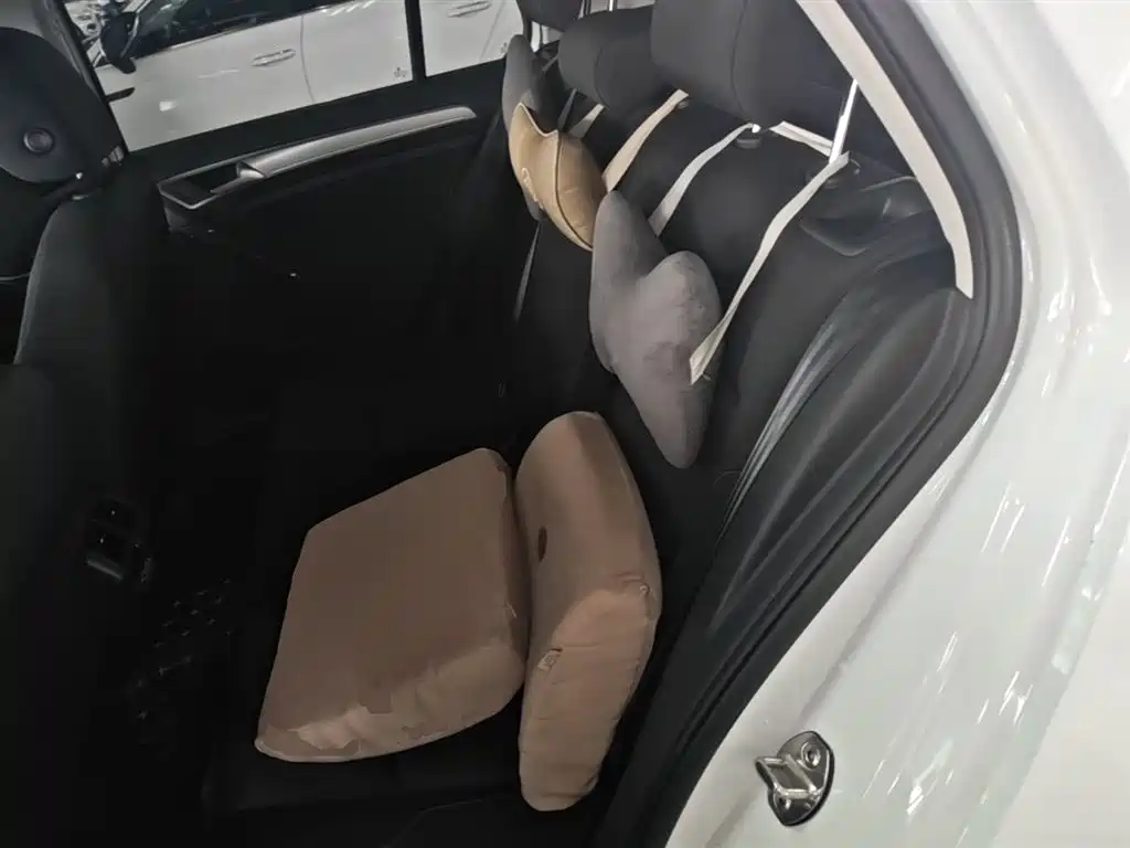 Volkswagen Golf 2019 200TSI DSG Comfort Progressive China VI фото 17