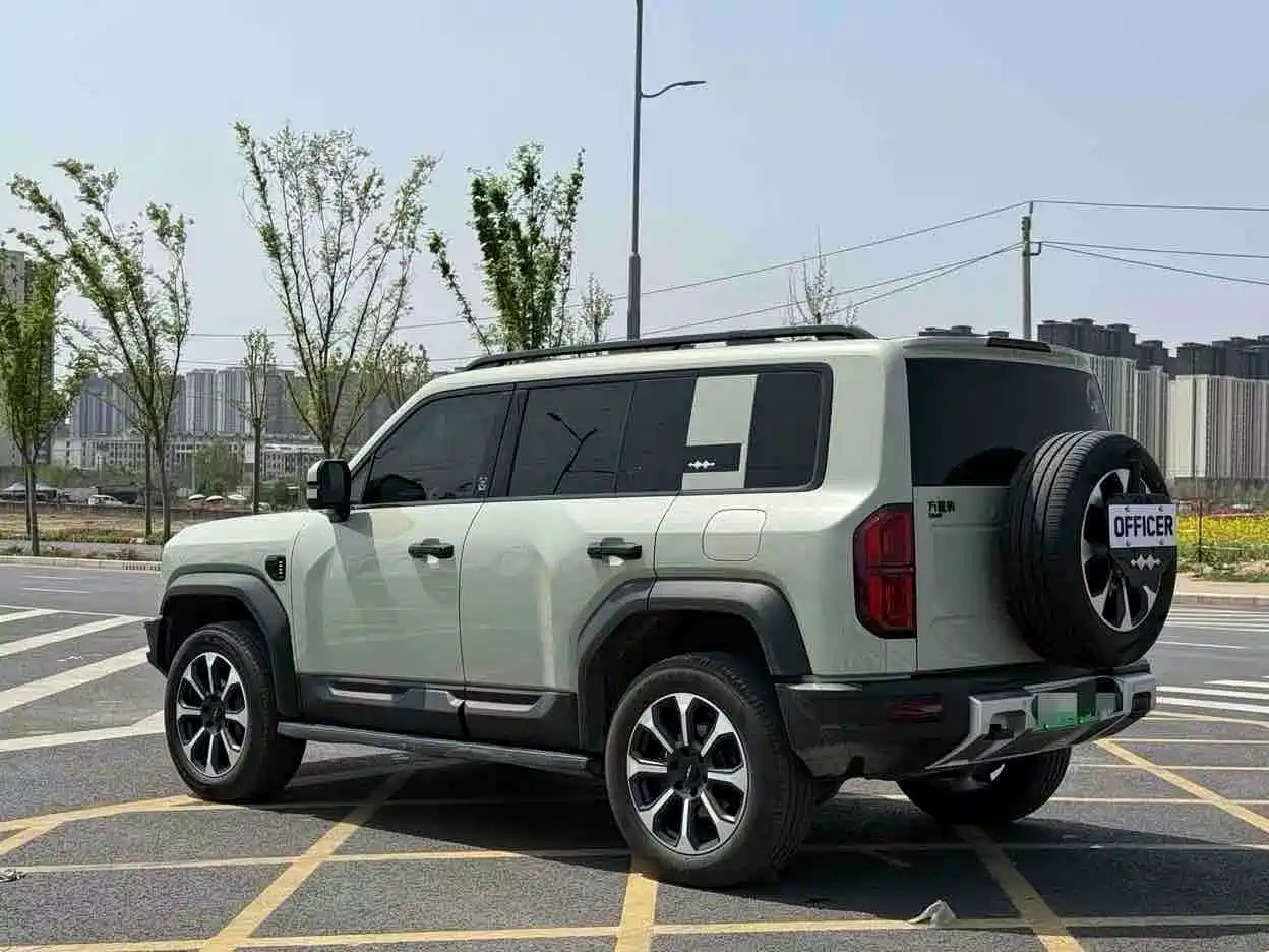 FANG CHENG BAO LEOPARD 5