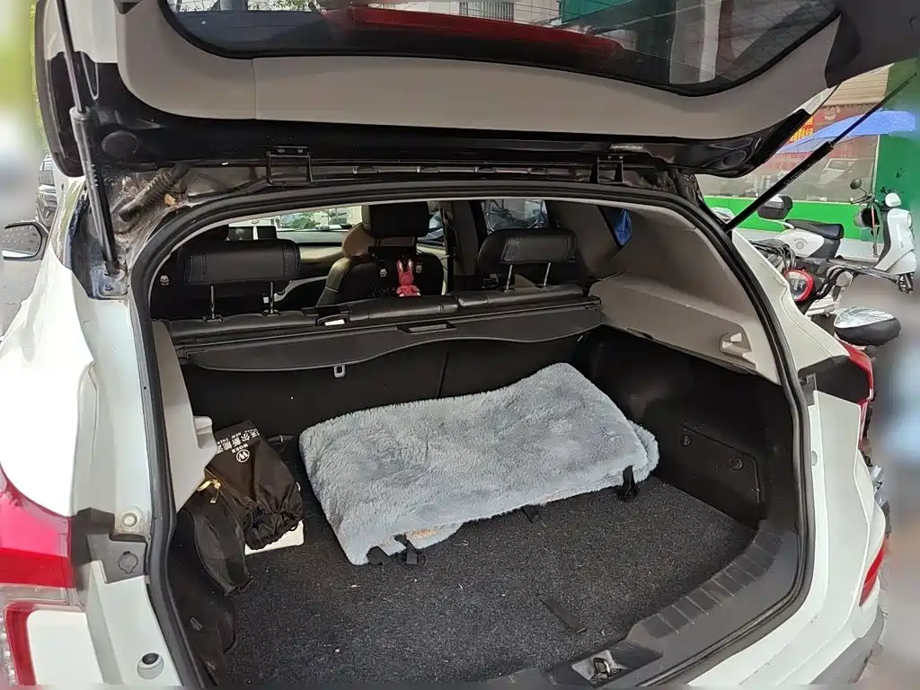 Haima 6P 2020 2021 1.2T PHEV Long Range Luxury