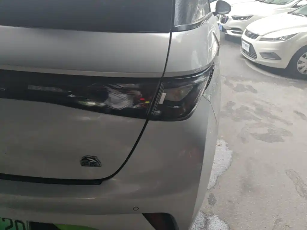 BYD Dolphin 2021 2021 405km Freedom Edition
