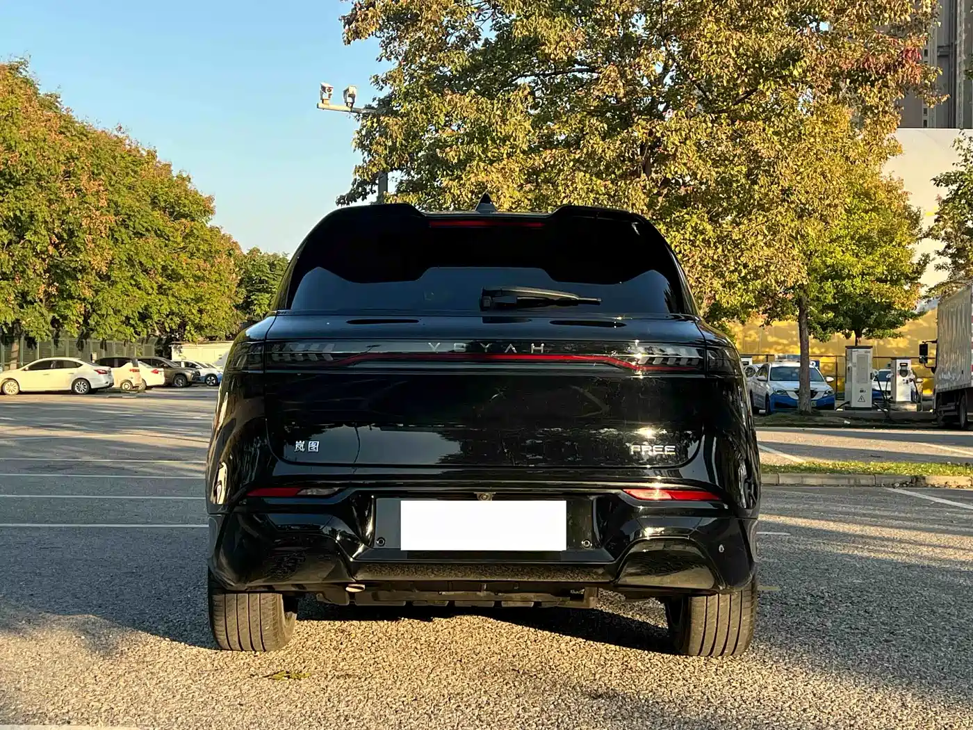 Voyah Auto VOYAH FREE 2025 318 318km RWD Touring Edition фото 16