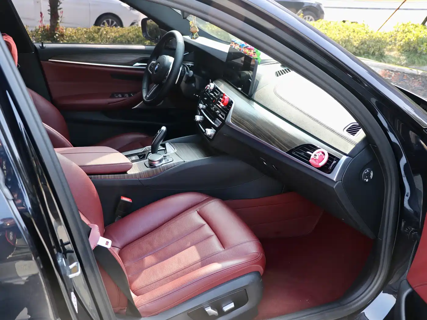 BMW 5 Series 2018 Facelift 530Li Leading M Sport Package фото 13