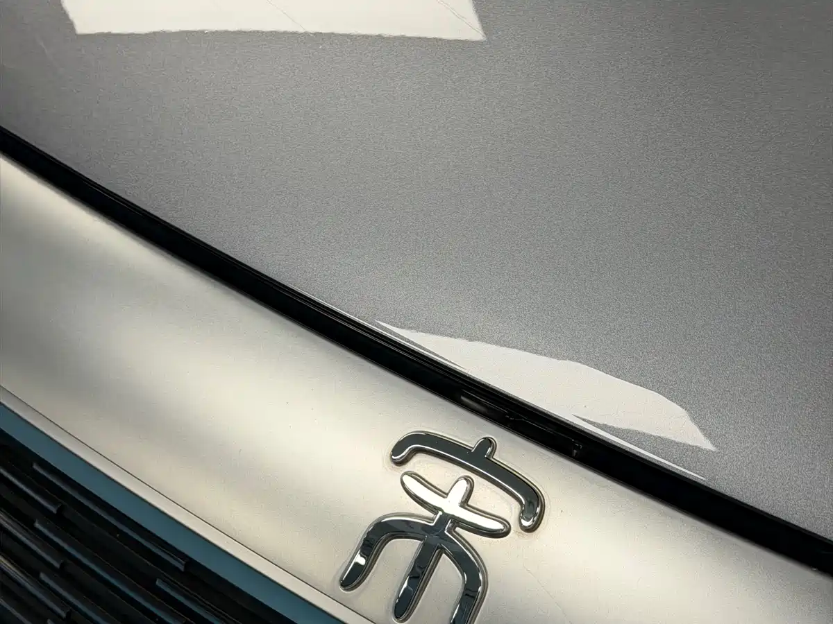 BYD SONGJIANG NEW ENERGY