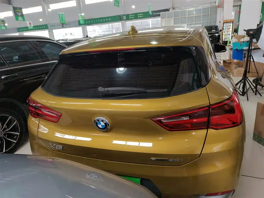 BMW X2 (Import) 2019 sDrive20i M Off-Road Package China VI фото 6