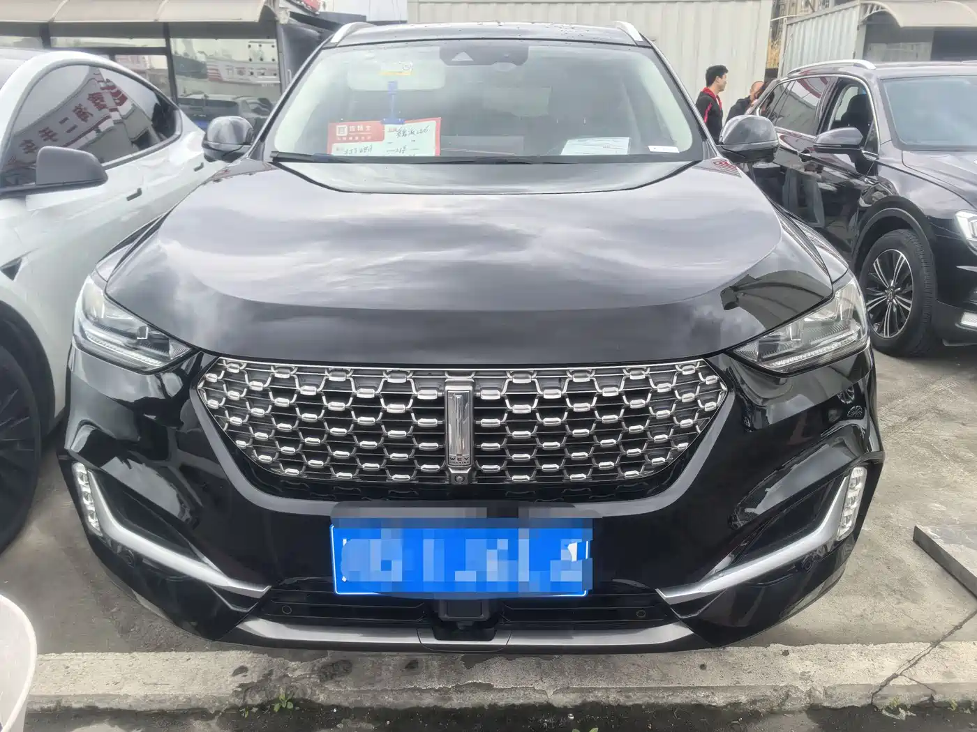 WEI PAI WEI BRAND VV6