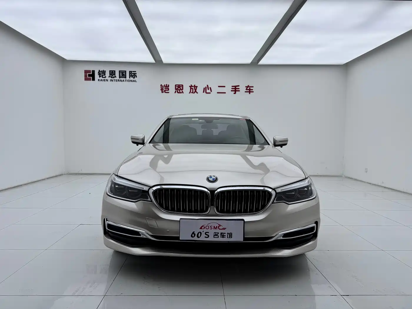 BMW 5 Series 2020 530Li Leading Luxury Package фото 2