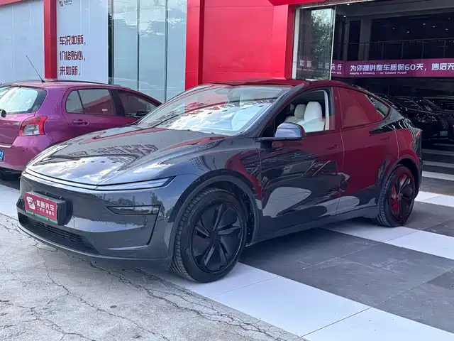 Tesla Model Y 2025 Model Long Range All-Wheel Drive Launch Edition — фото 1