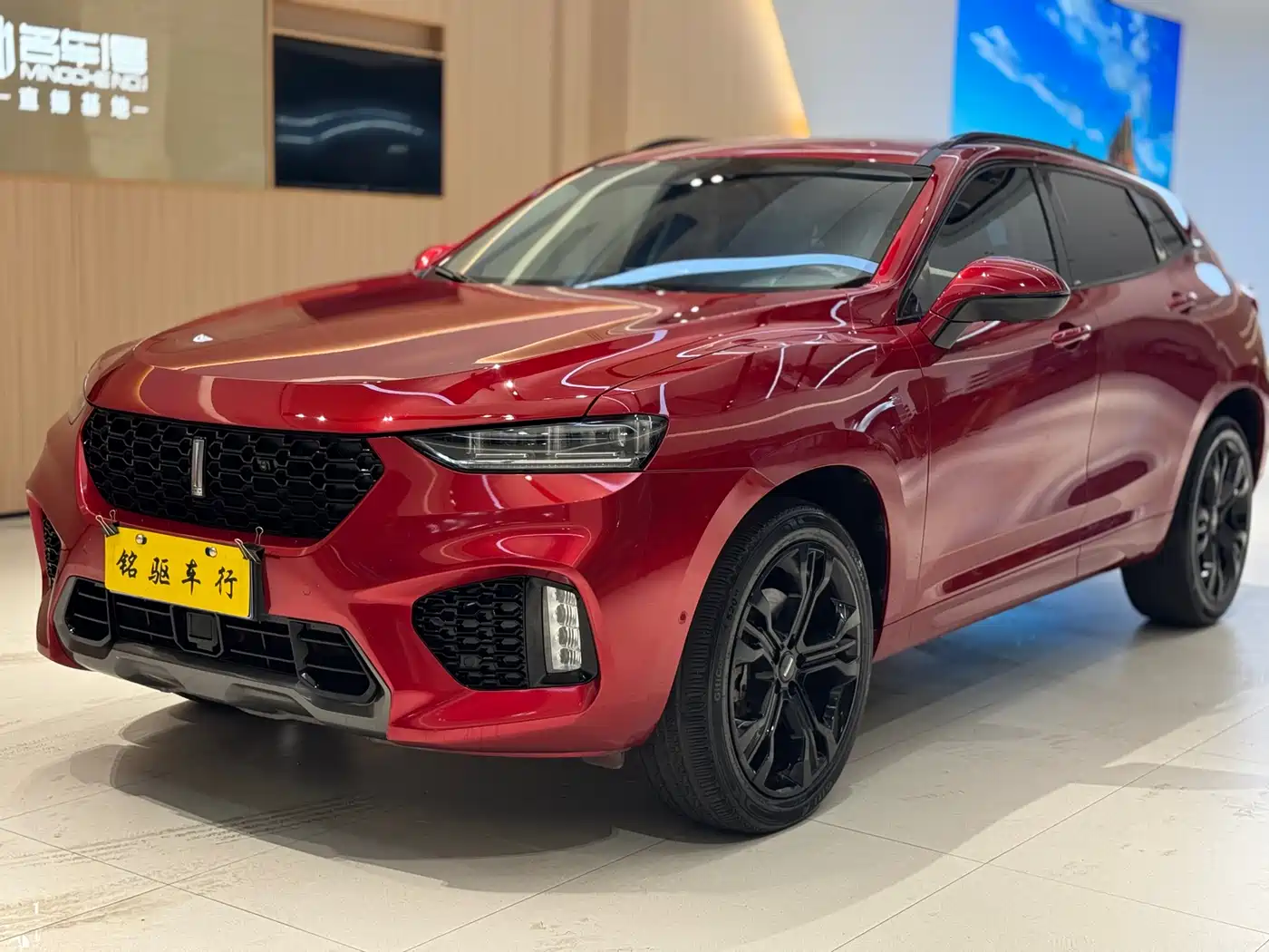 WEI PAI WEI BRAND VV7