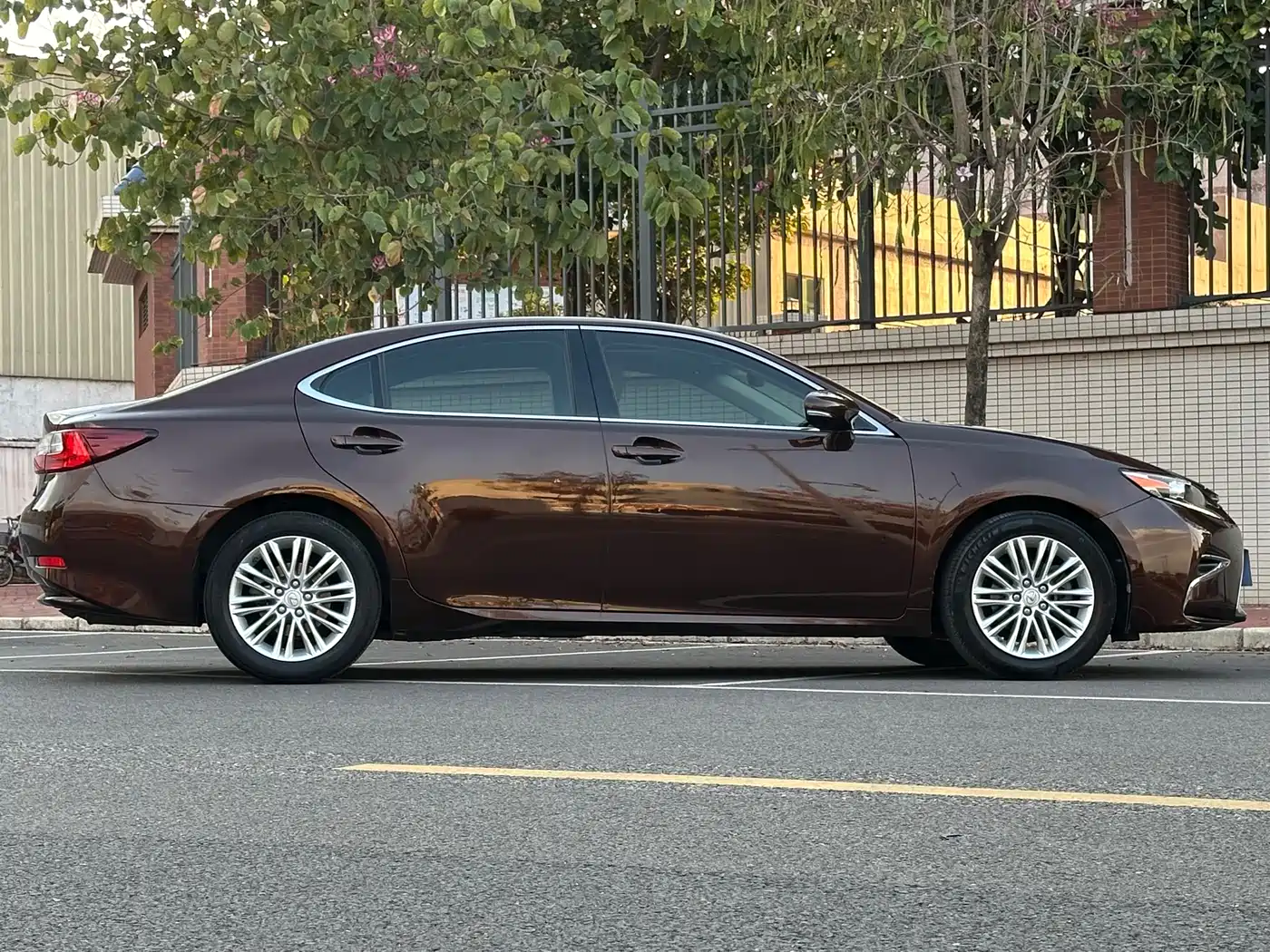 Lexus ES 2015 250 Elegance Edition фото 4