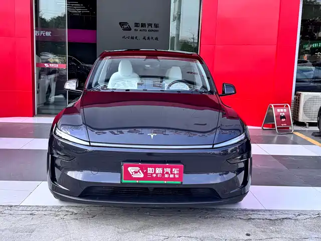 Tesla Model Y 2025 Model Long Range All-Wheel Drive Launch Edition — фото 2