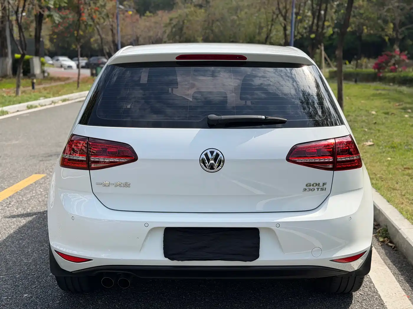 Volkswagen Golf 2017 230TSI Auto Comfort Millionth Anniversary Edition фото 3
