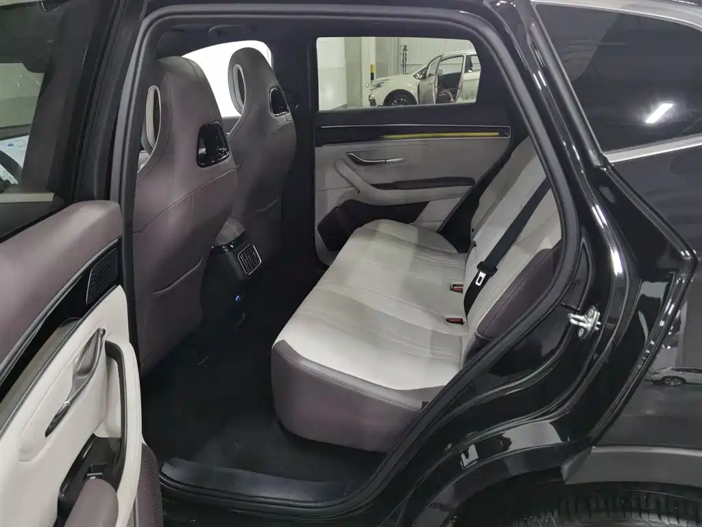 BYD Song PLUS PHEV 2025 EV 520km Premium фото 15