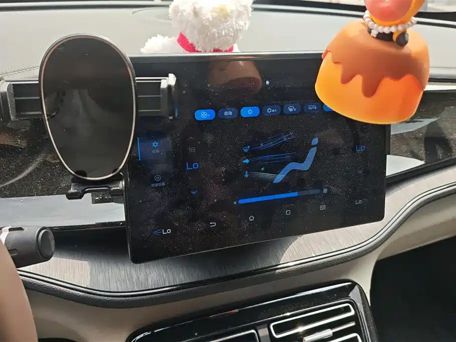 BYD Qin PLUS 2024 Glory Edition DM-i 55KM Leading фото 13