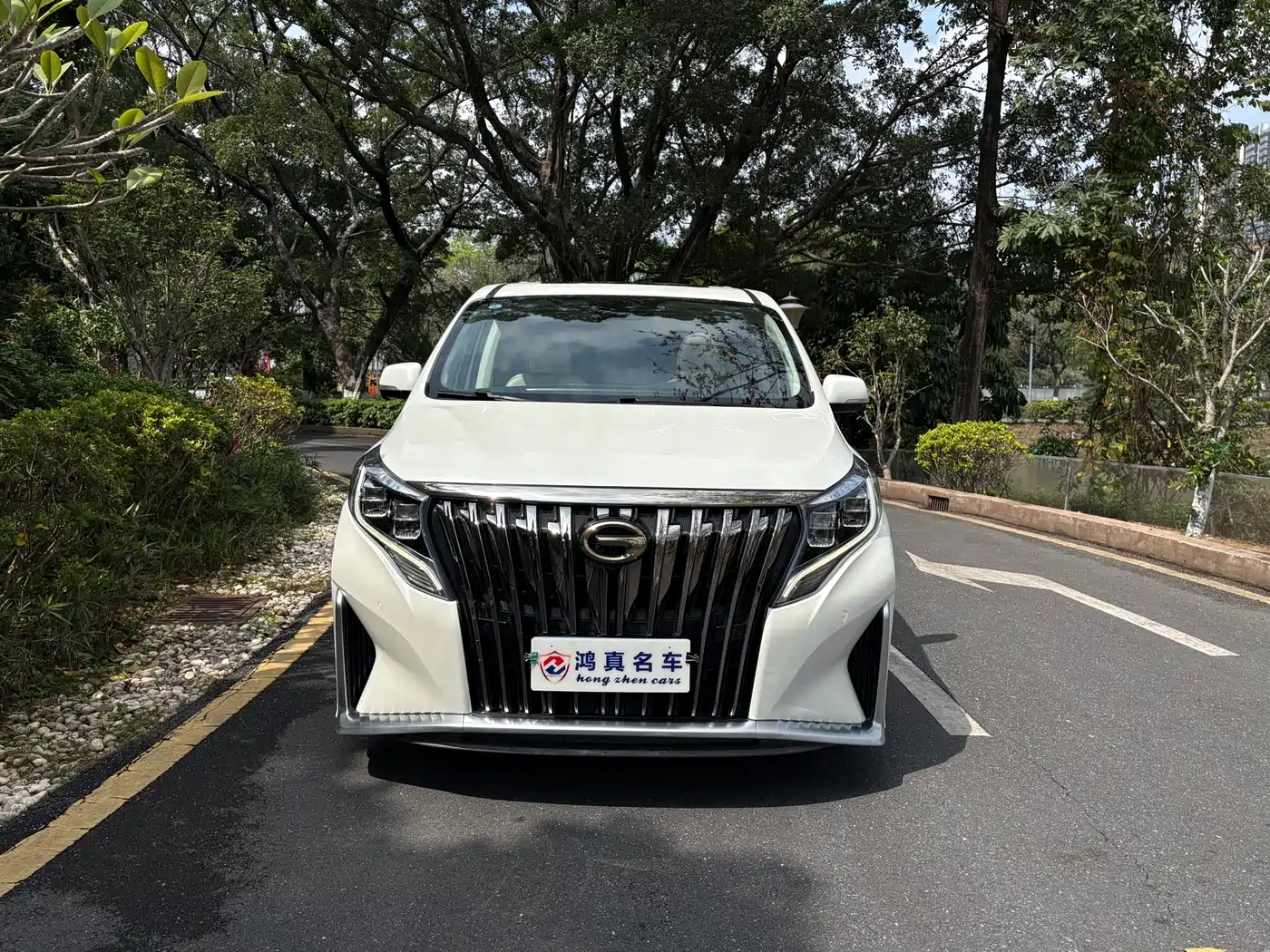 GAC Trumpchi Trumpchi M8 2021 Master Series 390T 4-Seat Glory Edition фото 2