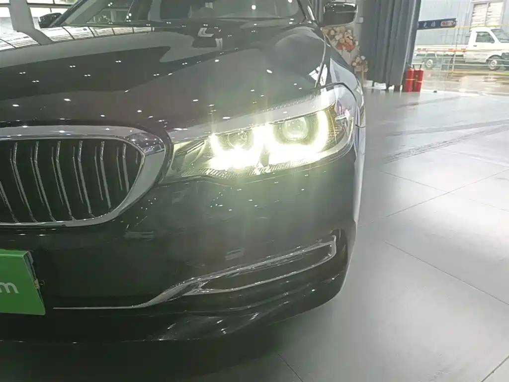 BMW 5 Series 2018 525Li Luxury Package фото 24