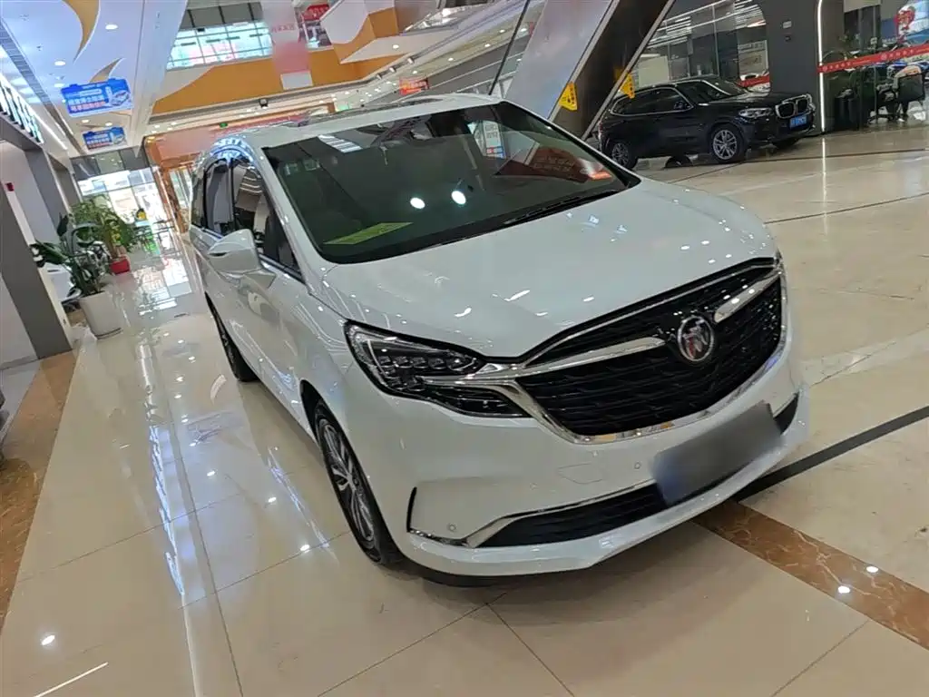 Buick GL8 2022 ES Landmark 653T Premium фото 4