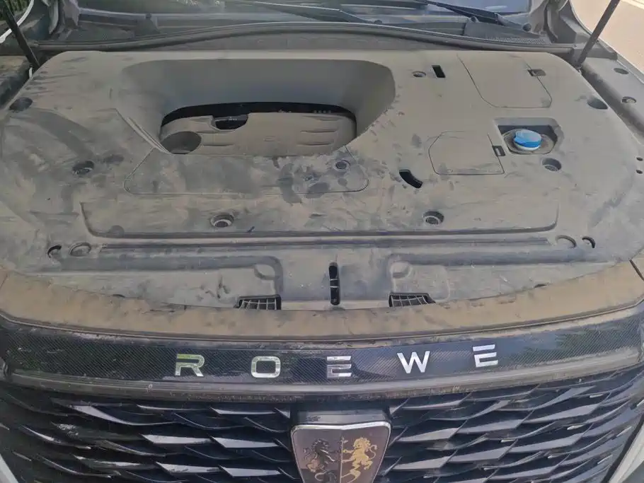 Roewe RX5 MAX 2023 2022 1.5T Auto Promising Luxury Edition