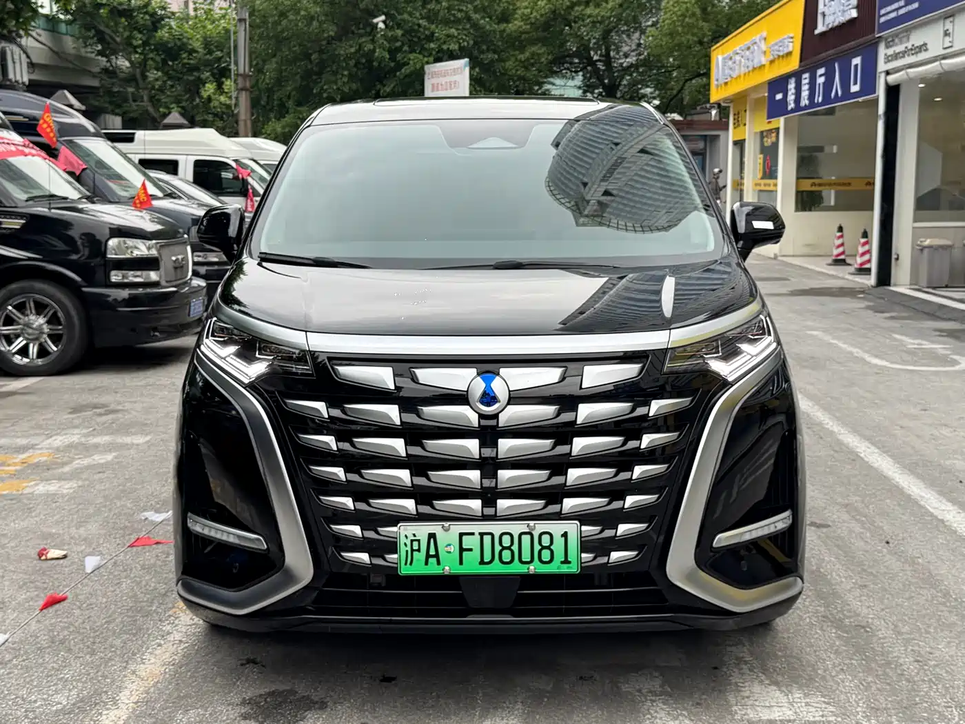 Denza D9 2025 DM-i Smart Drive Edition 1020 AWD Luxury фото 2
