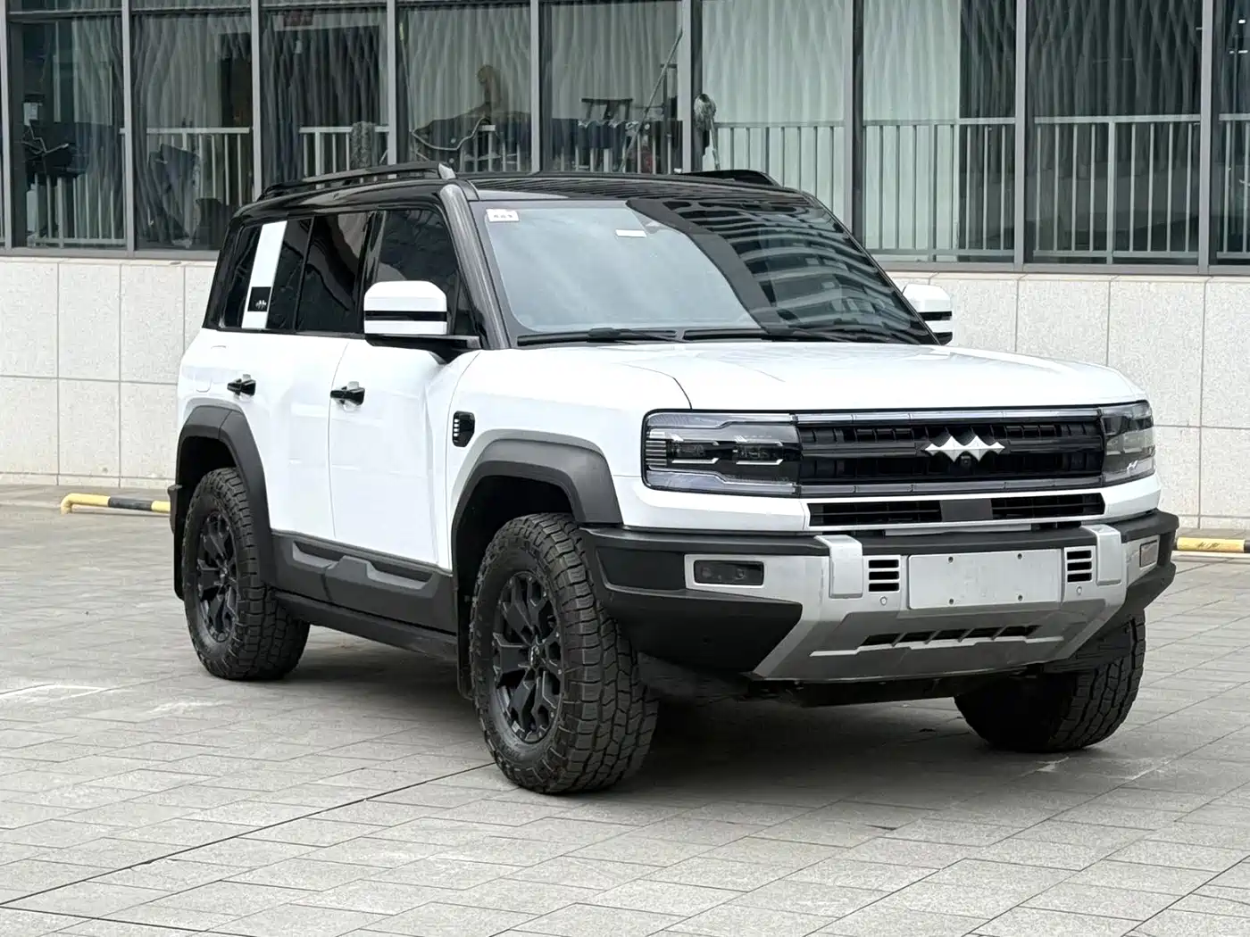 FANG CHENG BAO LEOPARD 5