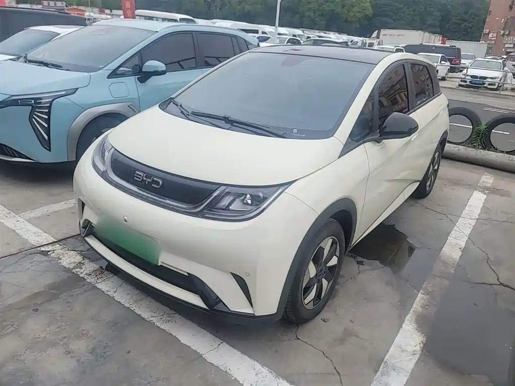 BYD Dolphin 2024 Glory Edition 420km Fashion Edition