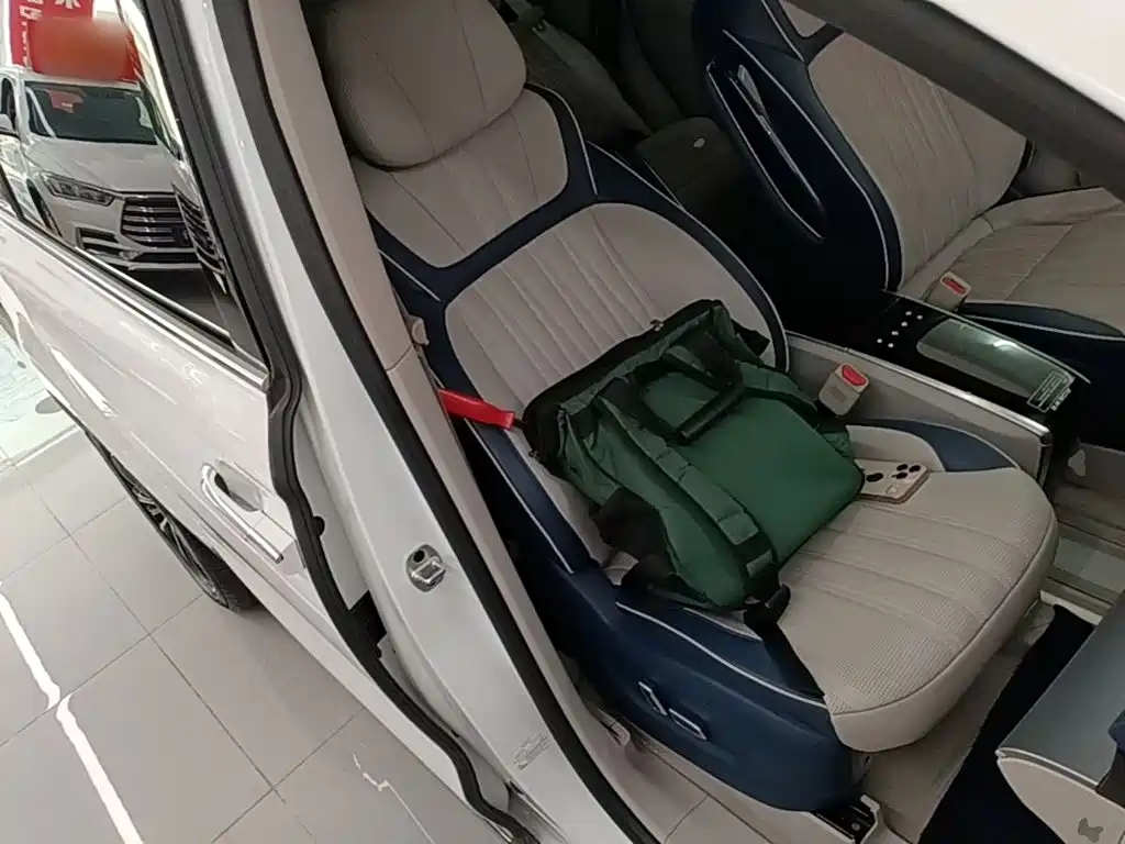 Roewe iMAX8 2021 2022 400TGI Honor Edition