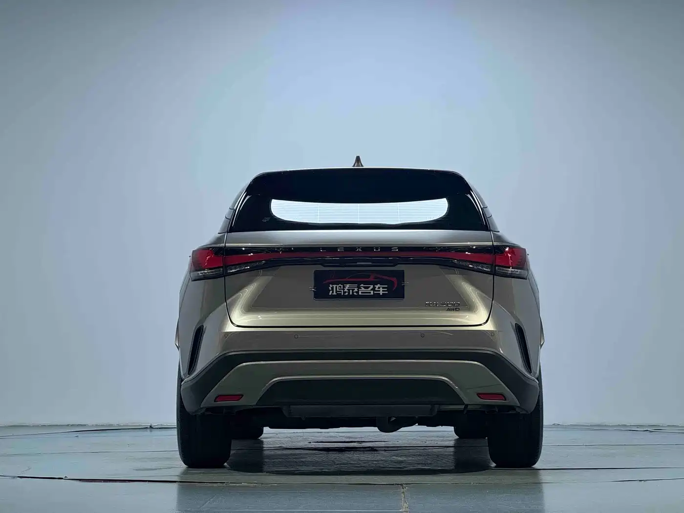 Фото 16 - Lexus RX
