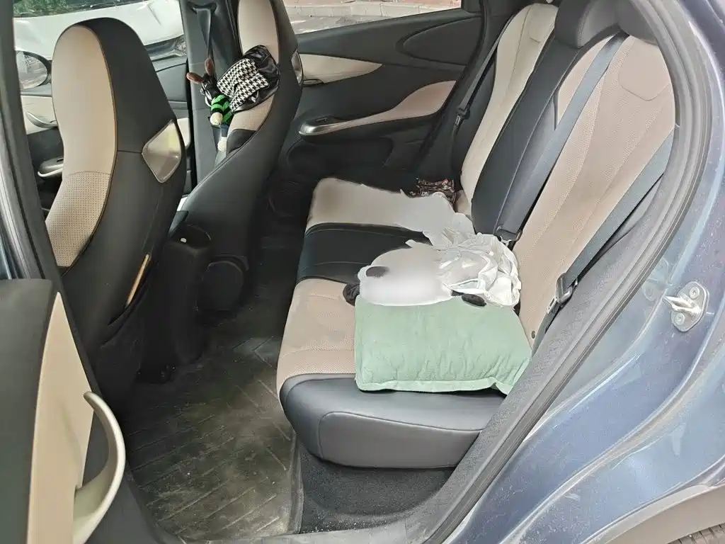 BYD Dolphin 2026 2025 420km Freedom Edition