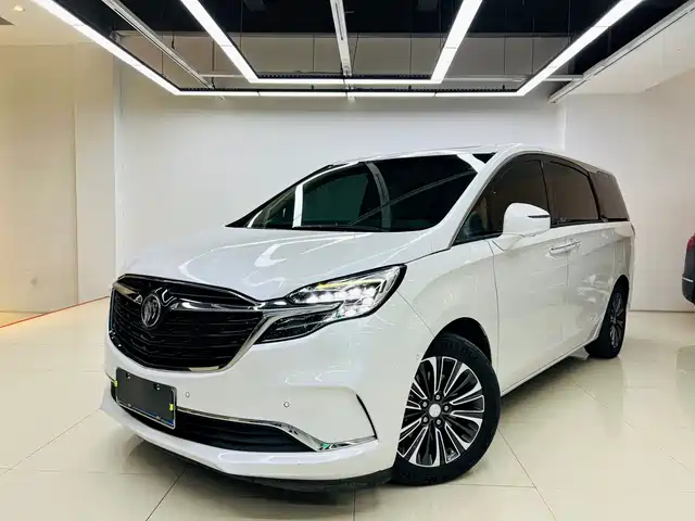 Buick GL8 ES Люкс, 653T, Люкс