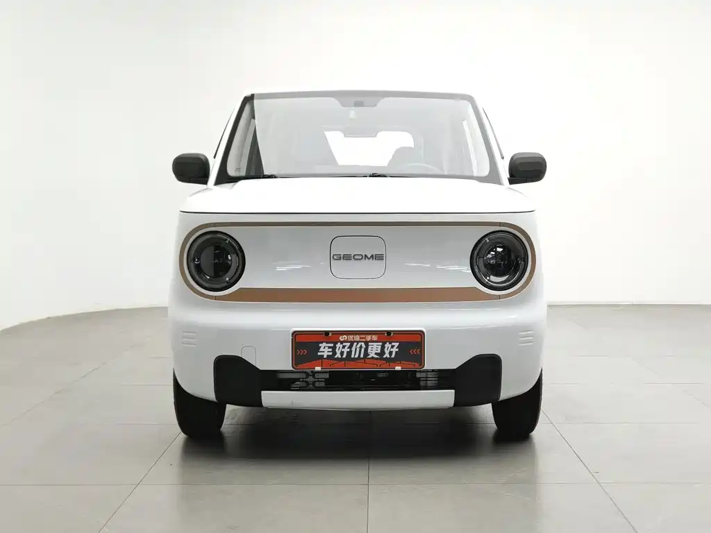 Фото 3 - Geely Galaxy Panda