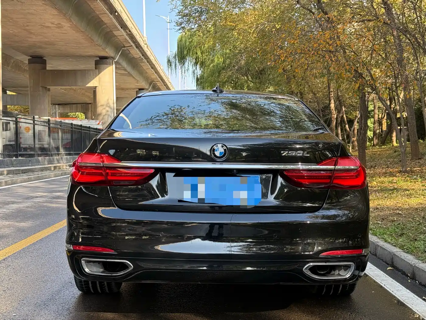 BMW 7 Series 2016 730Li Leading фото 4