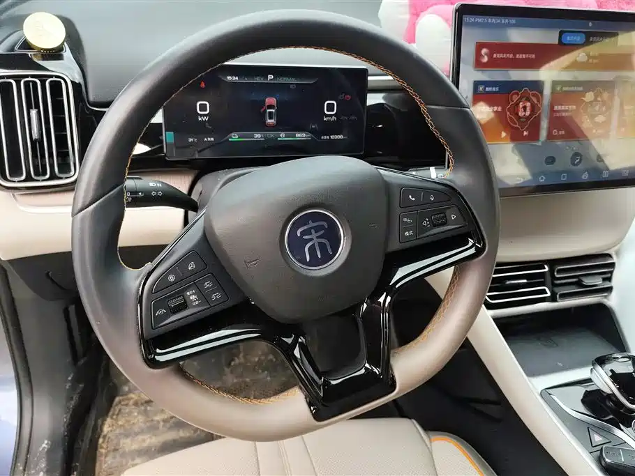 BYD Song Pro New Energy 2024 Glory Edition DM-i 110KM Excellence фото 15