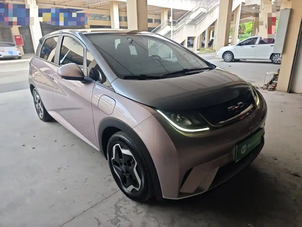 BYD Dolphin 2022 2021 Model 405km Fashion Edition
