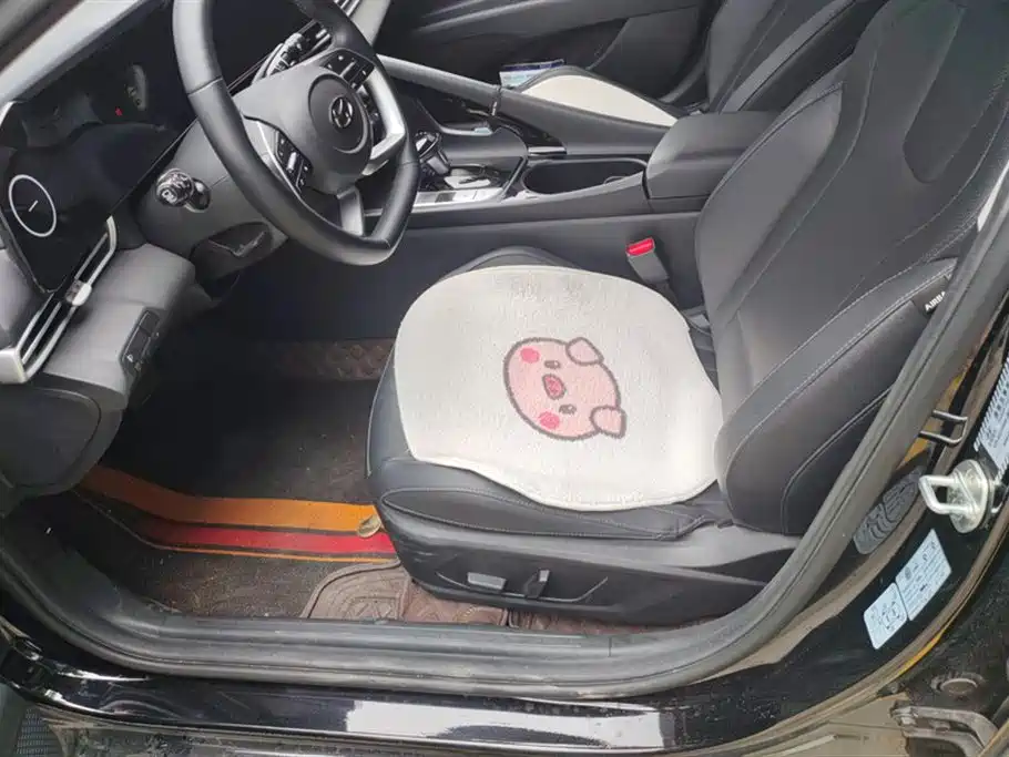 Hyundai Elantra 2023 Model 1.5L CVT LUX Premium Edition фото 9
