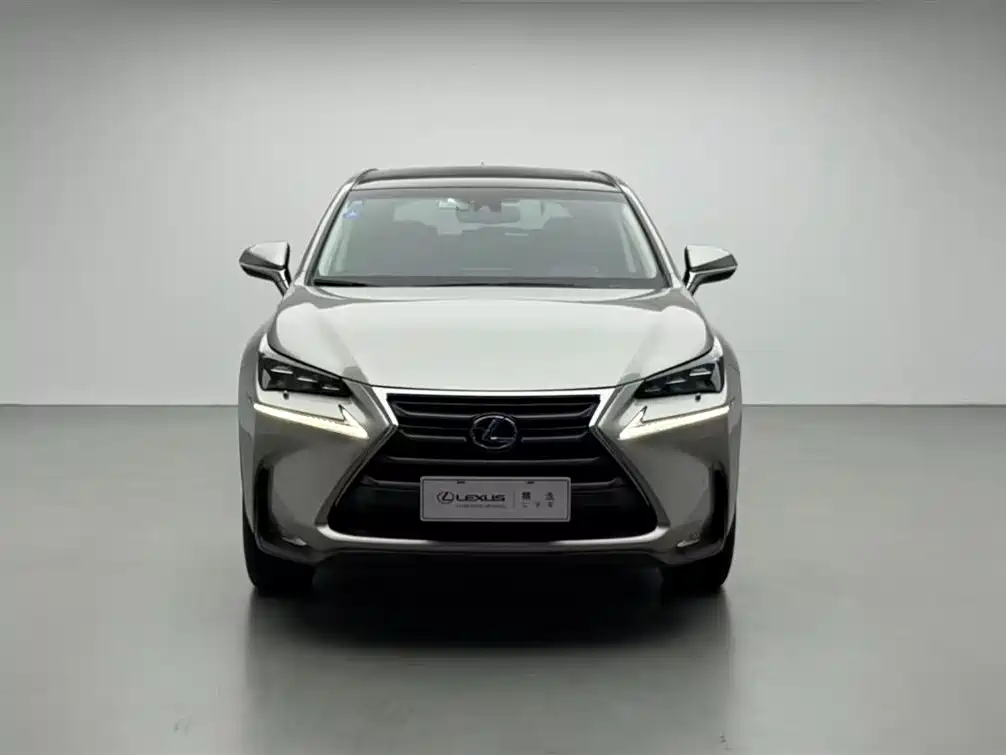 Lexus NX 2015 300h AWD F SPORT фото 2