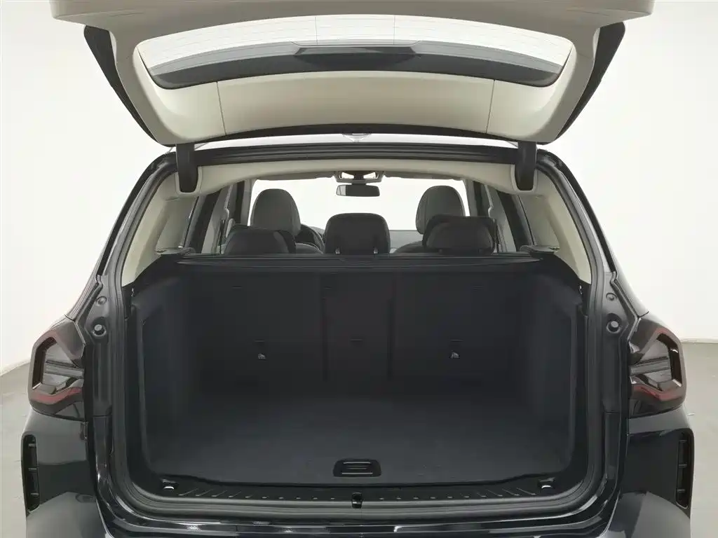 BMW X3 2023 xDrive30i Leading M Night Package фото 16