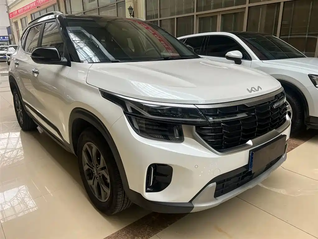 Kia Seltos 2023 1.5L CVT Luxury Edition фото 3