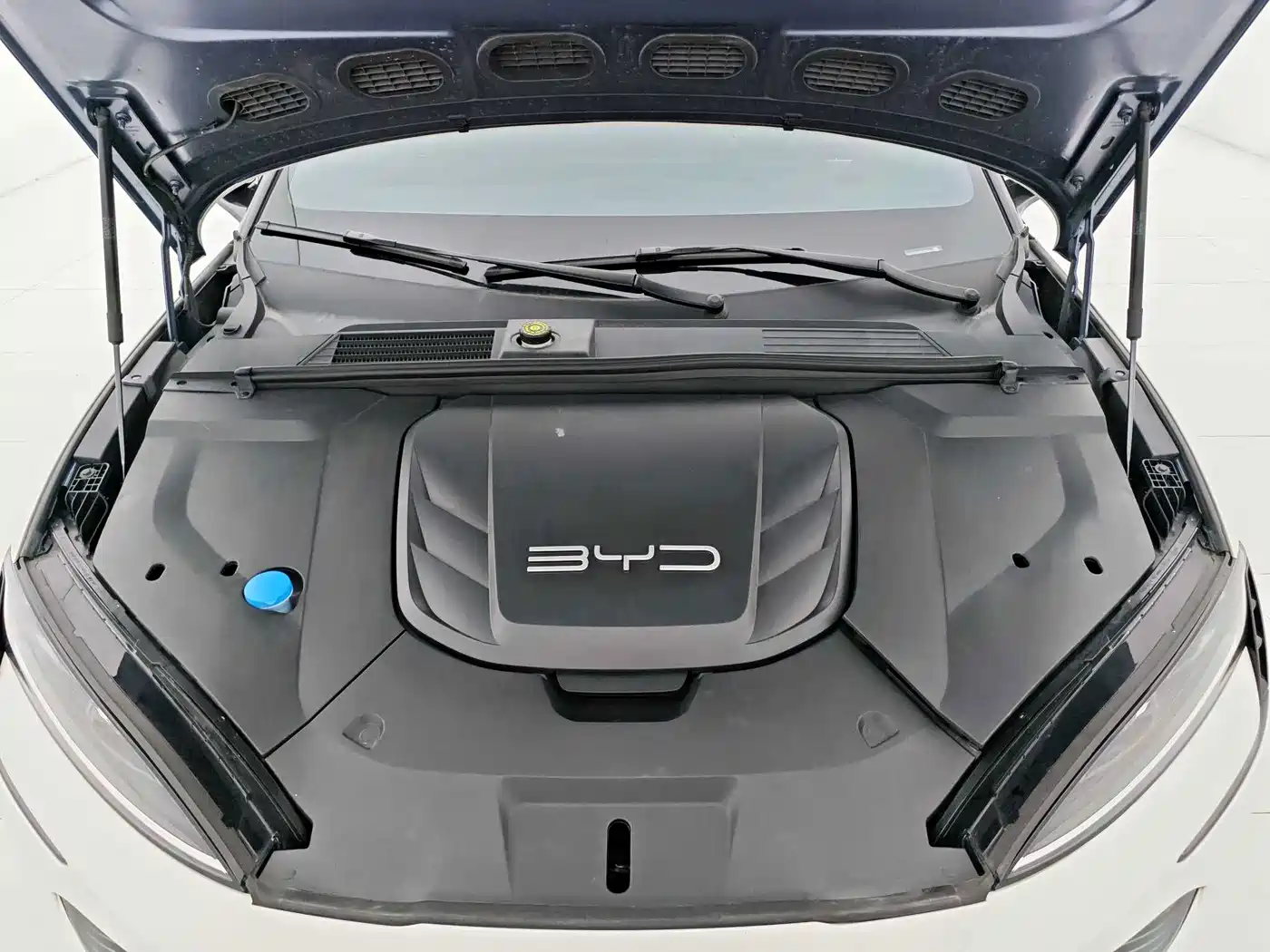 BYD Seal 2025 2024 Glory Edition 550km Elite