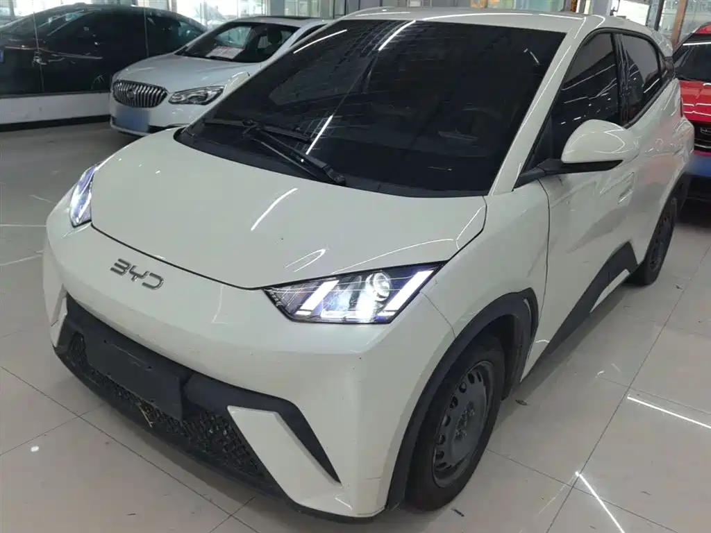 BYD Seagull 2024 Glory Edition 305km Vitality Edition фото 2