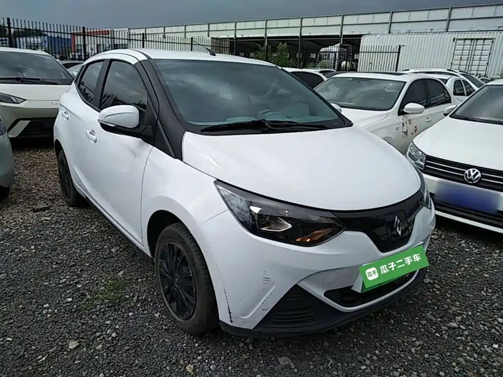 JMCG New Energy Little Kirin 2024 2024 201km Comfort Model