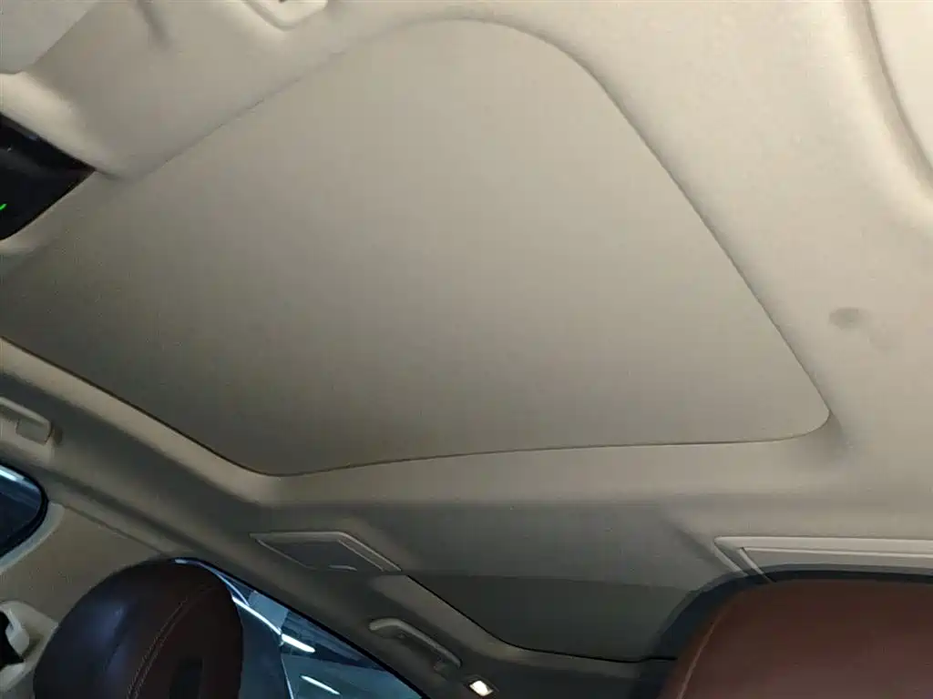 BMW 5 Series New Energy 2019 530Le Luxury Package фото 17