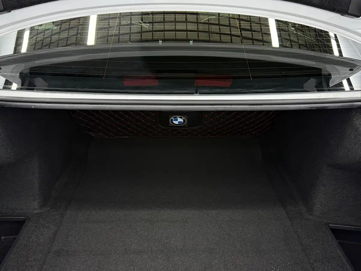 BMW 3 Series 2023 320Li M Sport Package фото 19