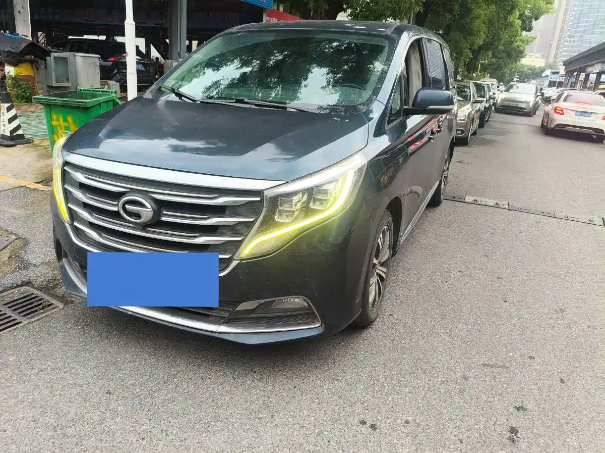 GAC Trumpchi Trumpchi M8 2018 320T Premium Edition фото 3
