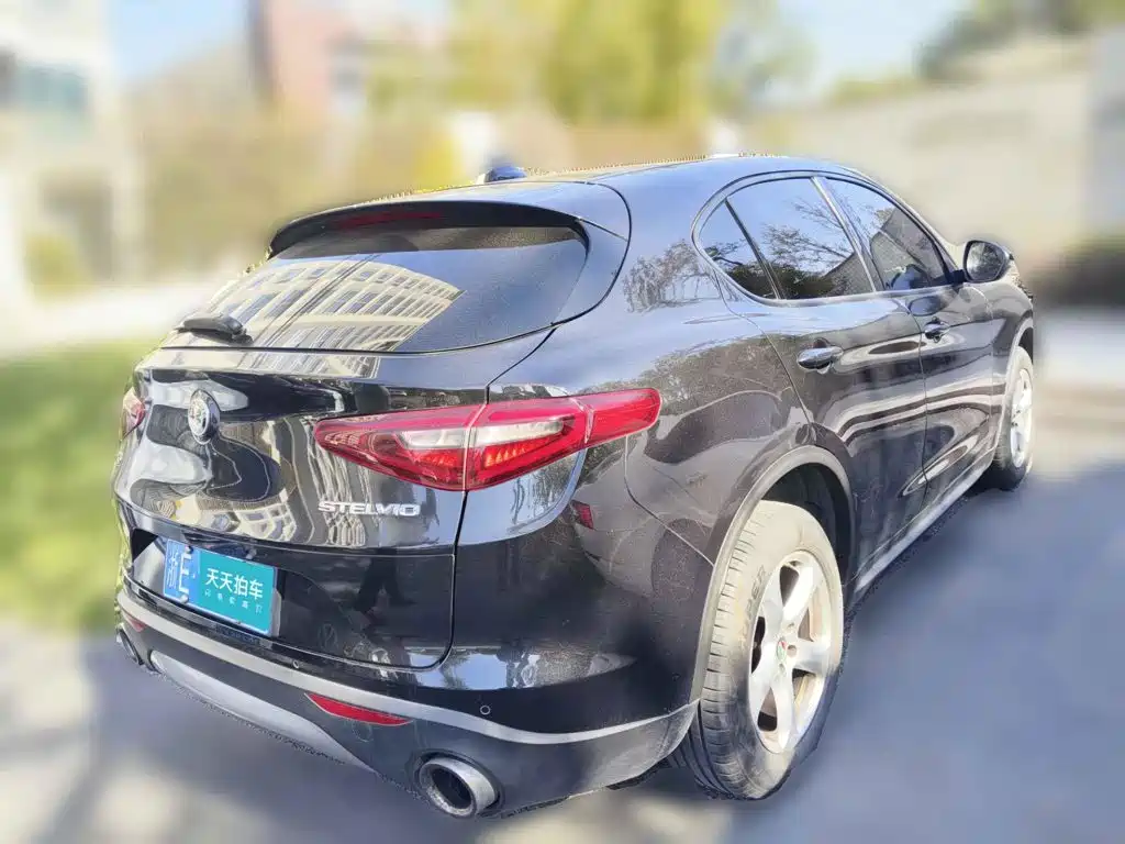 Alfa Romeo Stelvio 2019 2017 2.0T 200HP Elite