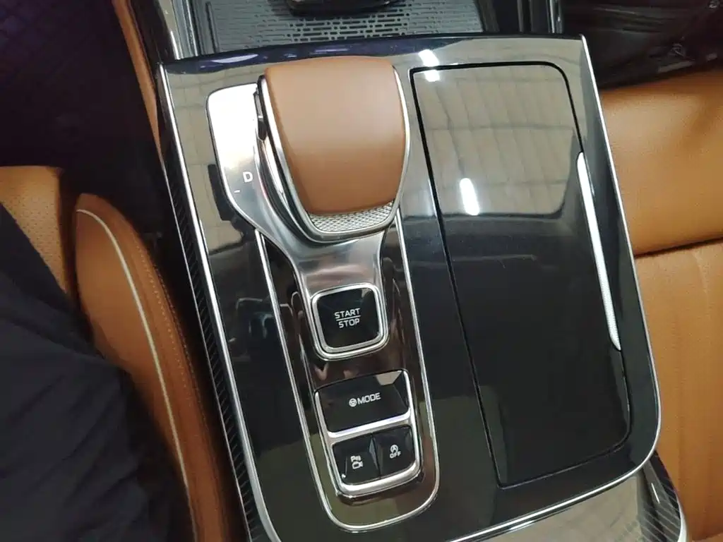 Hongqi H9 2025 2024 2.0T Qi Enjoy Private Fashion Edition