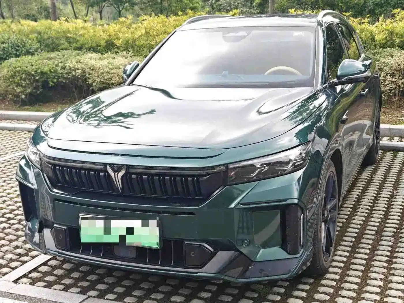 Voyah Auto VOYAH FREE